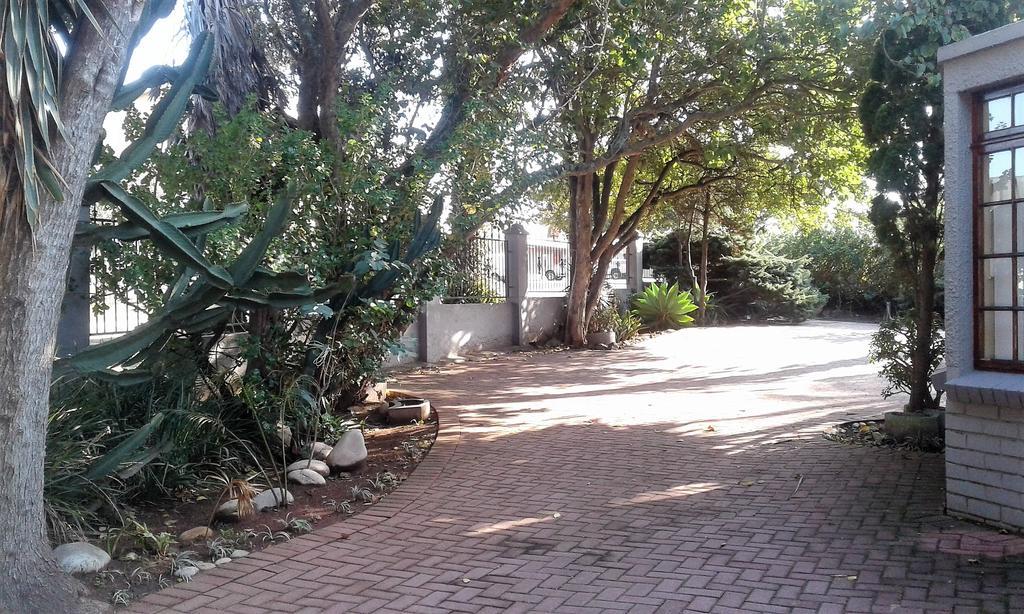 Amanzi Guest House Port Elizabeth Extérieur photo